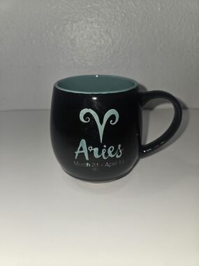 Fisher- Aries Ceramic Mug in Black with Teal Interior